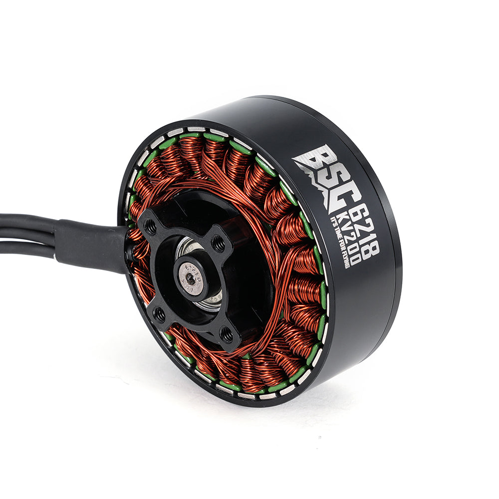 BSC 6218 200KV stator windings and curved magnets detail