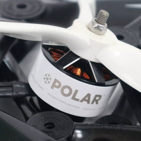 XC5000 POLAR Brushless Motor