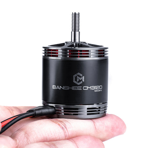 CM 3120 BANSHEE FPV Drone Motor